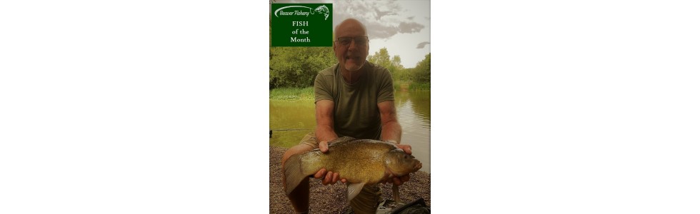 Fish of the Month July